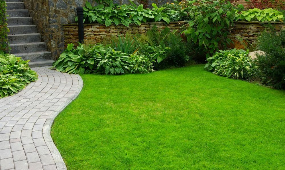 A Curved Gray Paver Walkway Leads to Stone Stairs Beside a Lush Green Lawn — Ballina Turf Farm in Kingscliff, NSW
