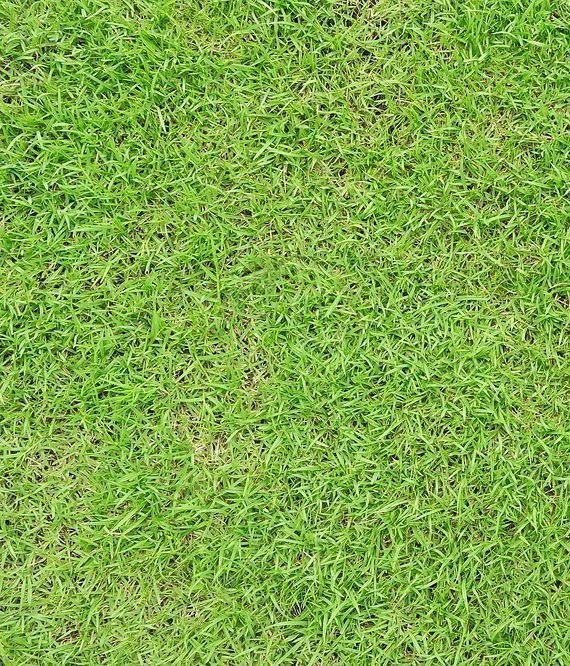 A Close-Up View of A Vibrant Green Lawn Covered in Densely Packed — Ballina Turf Farm in Goonellabah, NSW