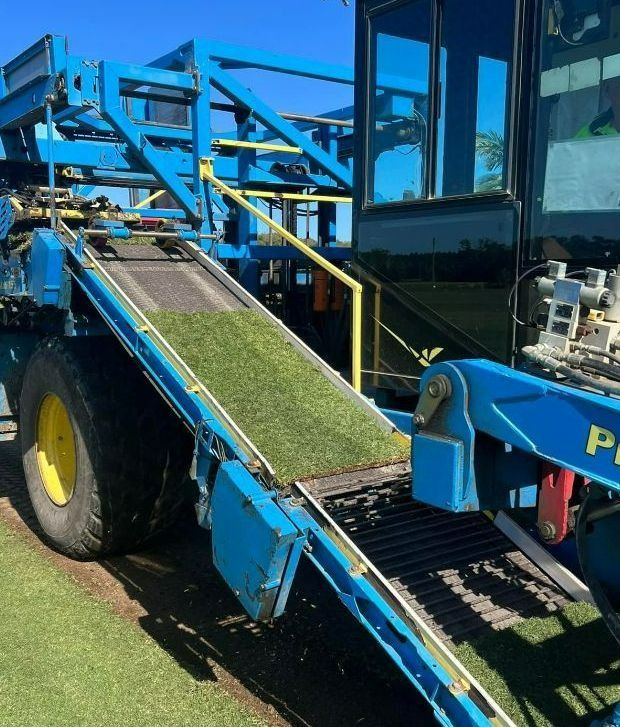 Blue Sod-Harvesting Machine with A Conveyor Belt — Ballina Turf Farm in Tweed Heads, NSW