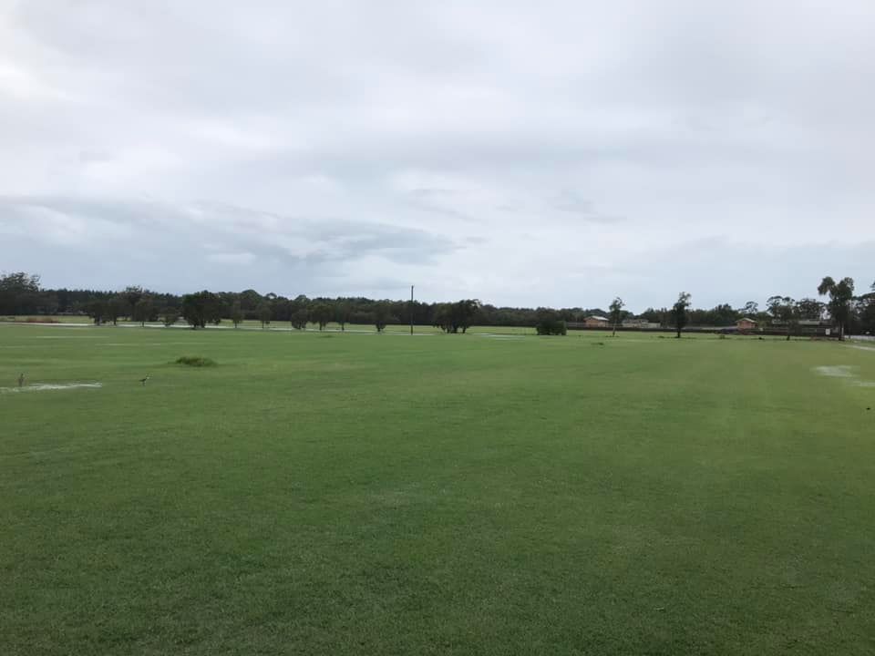 A Wide Green Grassy Field Under an Overcast Sky — Ballina Turf Farm in Goonellabah, NSW