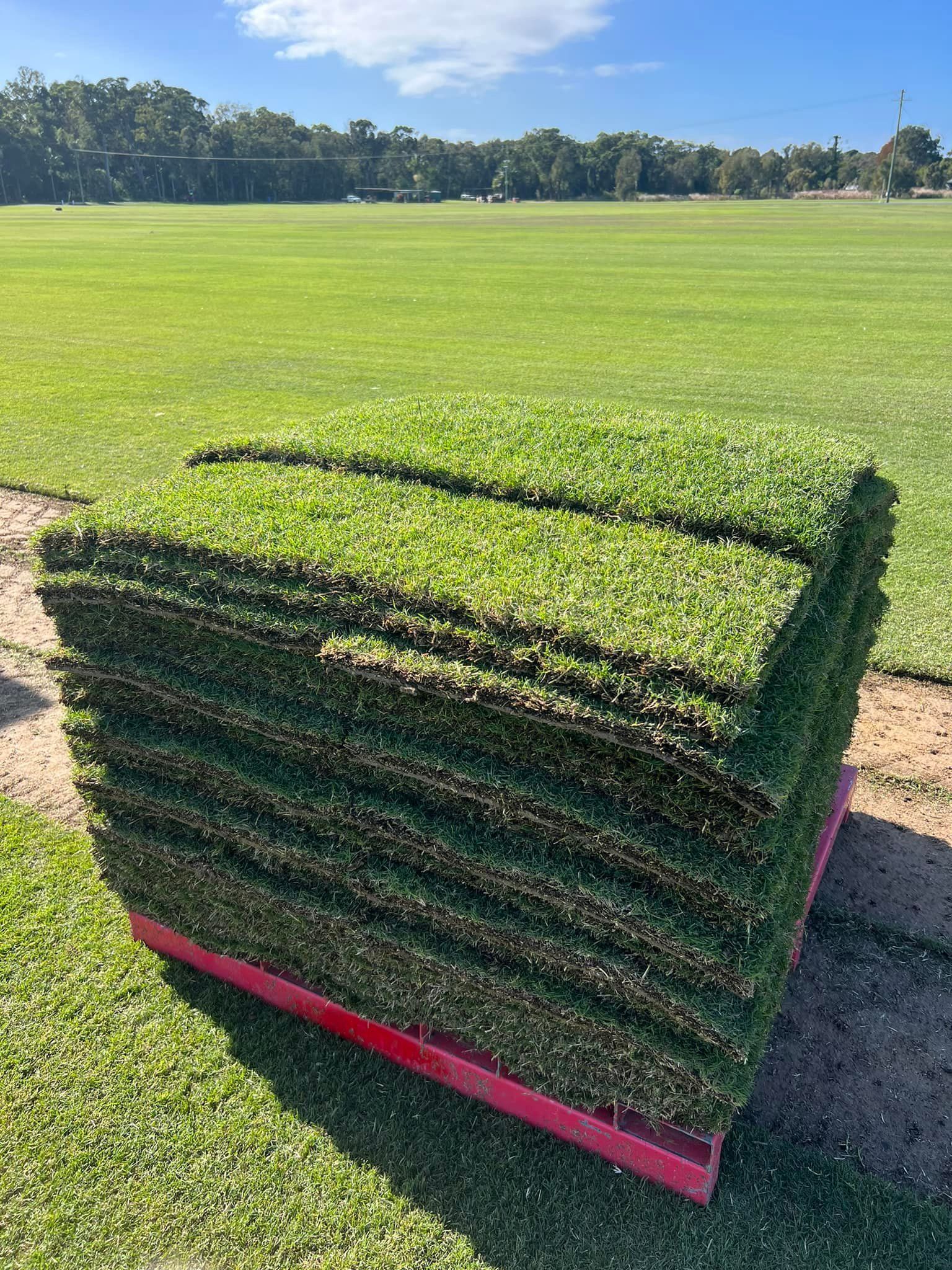 A Stack of Rectangular Grass Turf Slabs Sits on A Red Pallet — Ballina Turf Farm in Pottsville, NSW