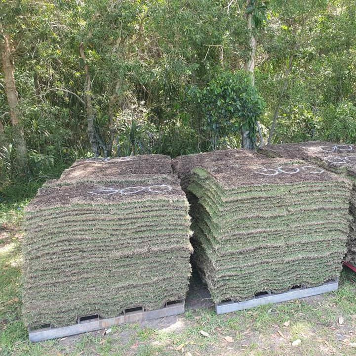 A Stack of Rolls of Turf Sitting on Top of a Wooden Pallet — Ballina Turf Farm in Kyogle, NSW