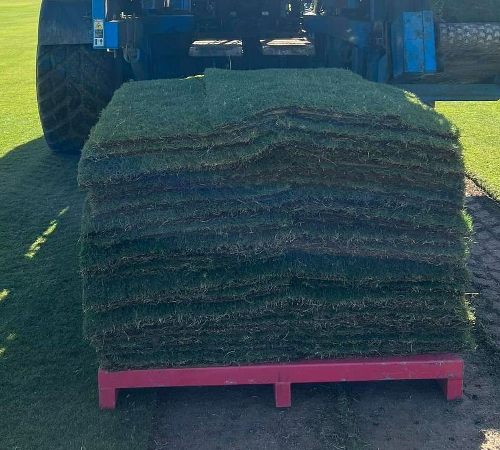 A Tractor is Carrying a Large Stack of Turf on a Pink Pallet — Ballina Turf Farm in Kyogle, NSW