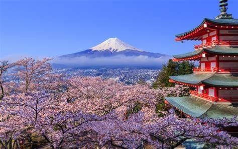 Cherry blossoms framing a red pagoda with snow-capped Mount Fuji in the background