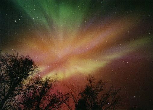 Aurora borealis glowing green, pink, and orange above silhouetted trees at night