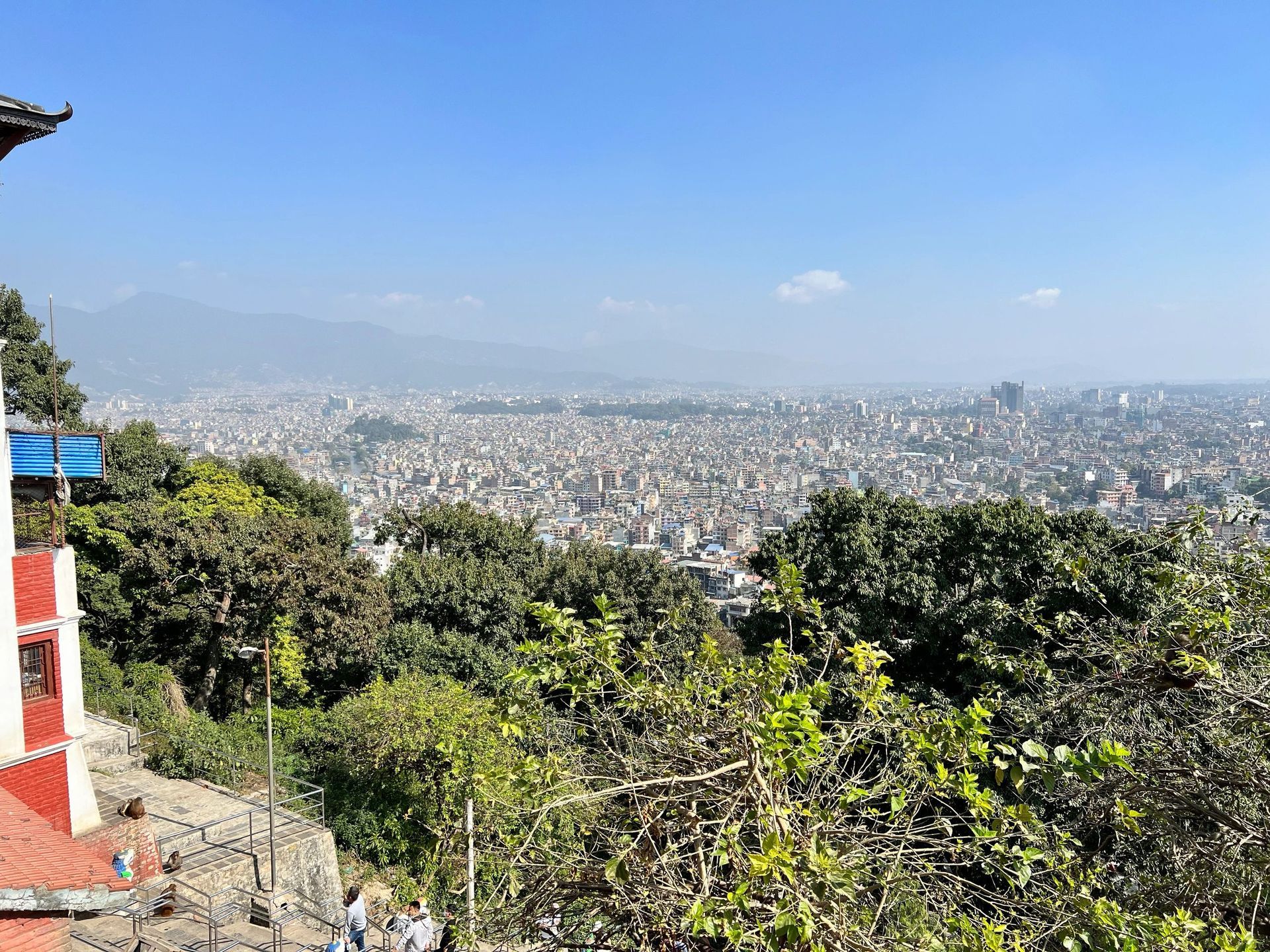 Panoramic cityscape viewed from a hillside, with trees in the foreground and a clear blue sky.