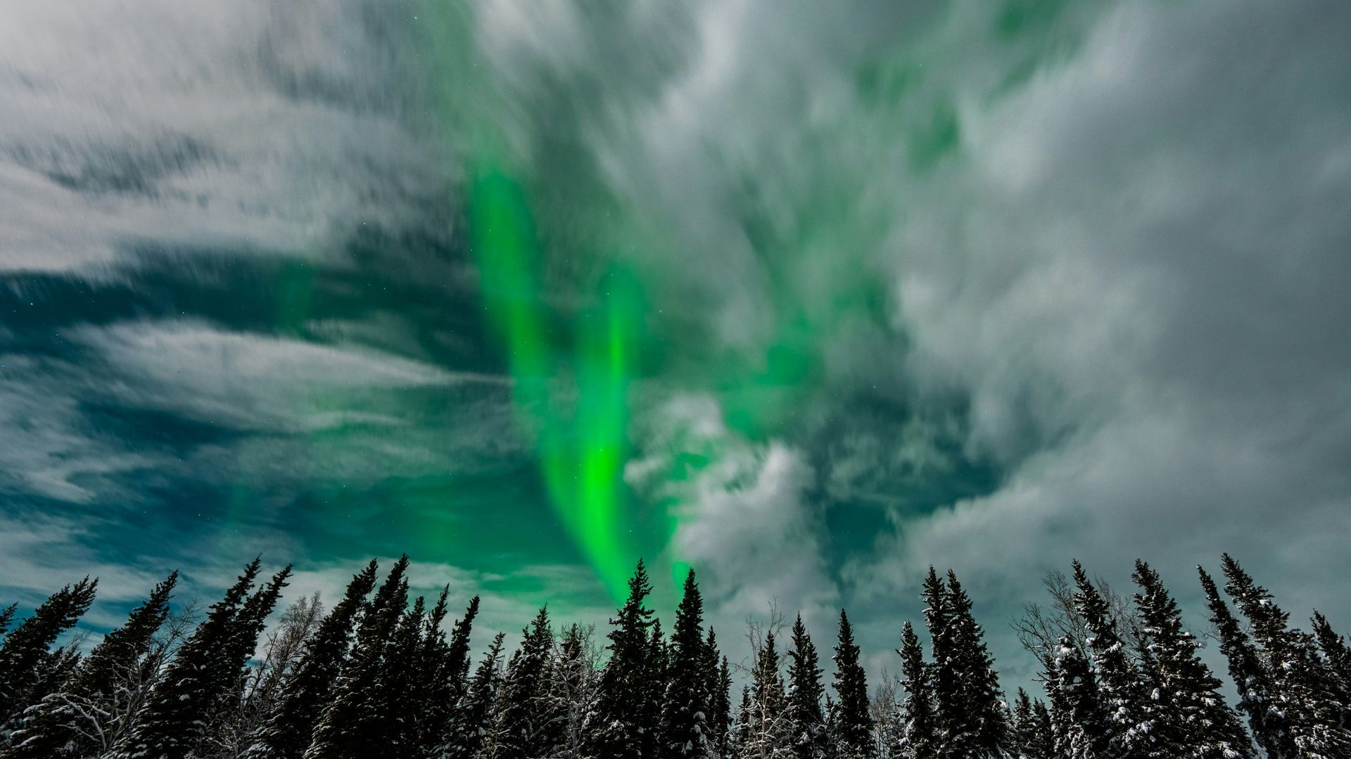 The Search for the Northern Lights in Alaska