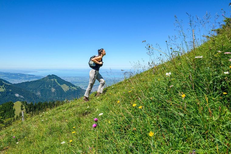 Hiker on a grassy mountain slope with wildflowers, overlooking distant peaks and a blue sky