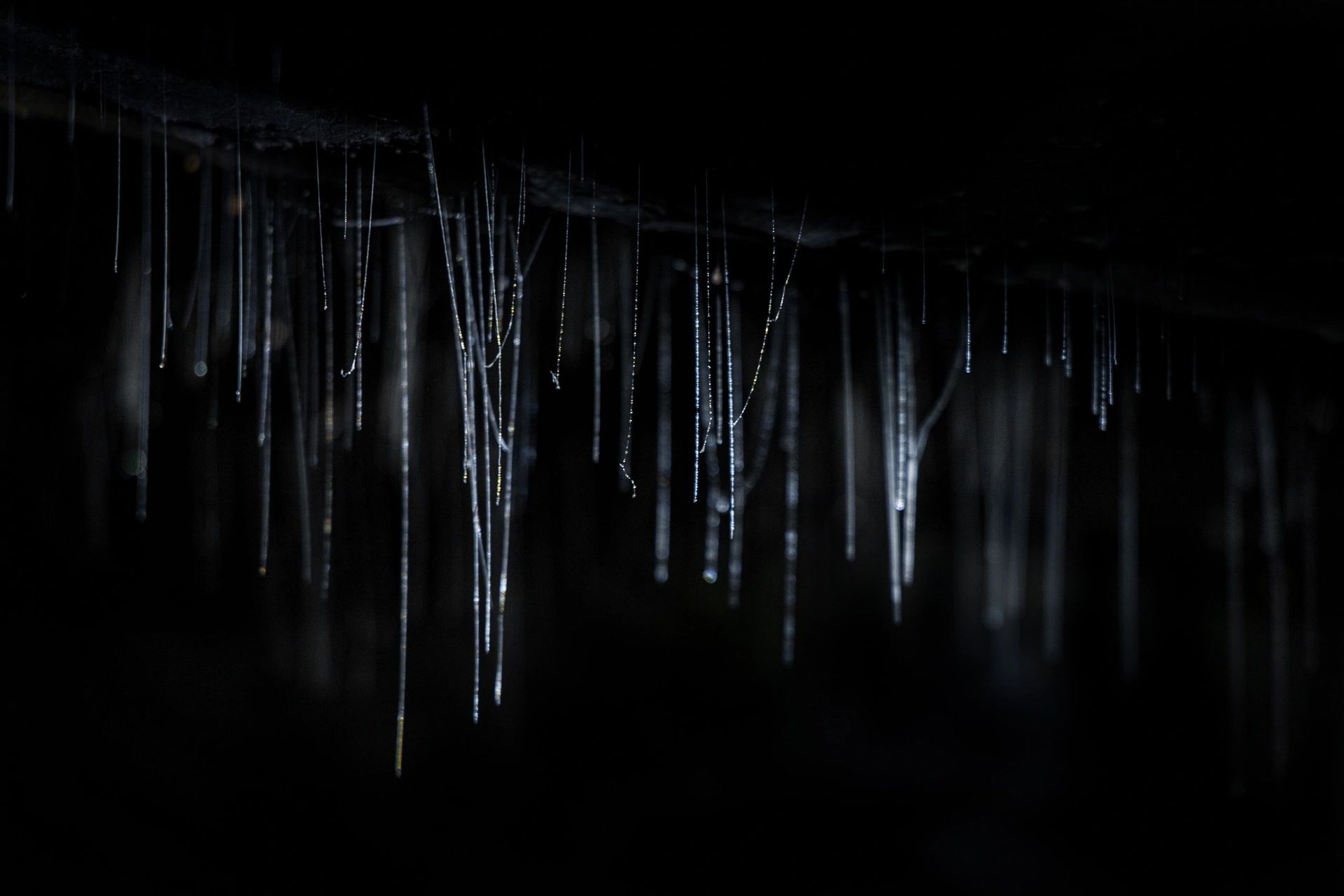 Dark cave ceiling with thin, shimmering icicles hanging against a black background