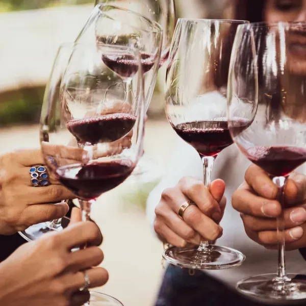 Friends toasting with red wine glasses at a table outdoors