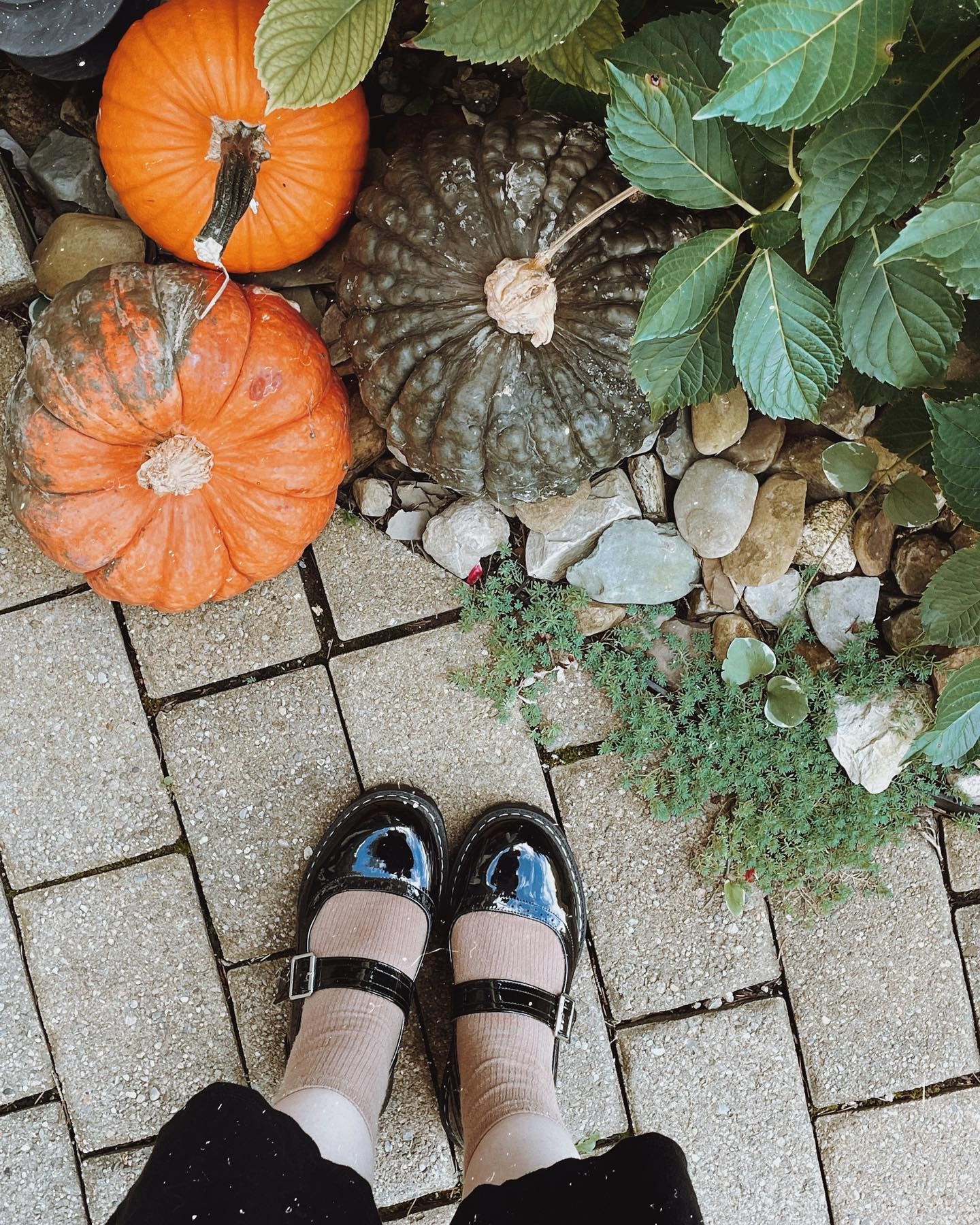 Person's feet in black Mary Jane shoes, near pumpkins on stone path with foliage.