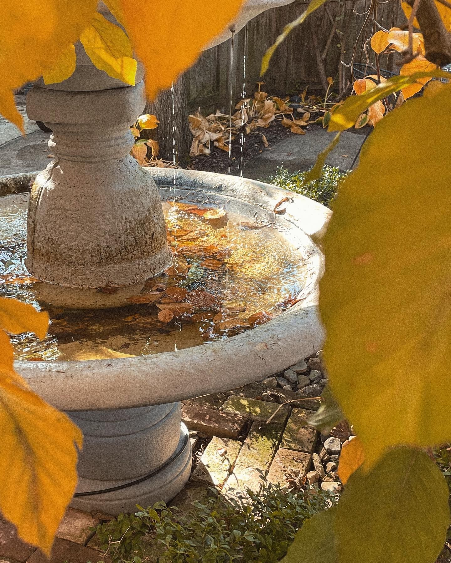 Stone fountain with water cascading, surrounded by golden autumn leaves.
