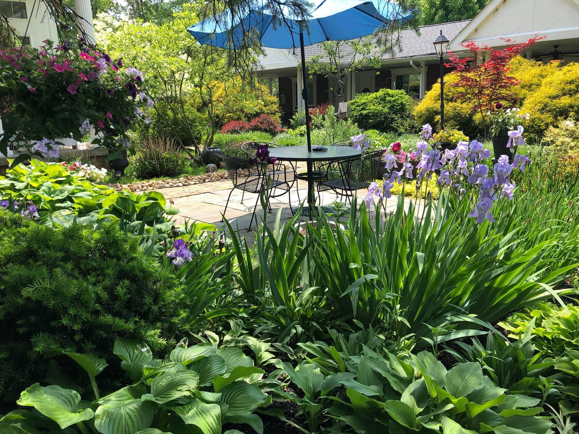 Lush garden with flowers and plants surrounding a patio table and umbrella. A white house is in the background.