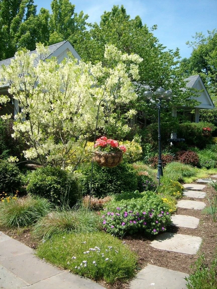 Stone path through a lush garden with flowering plants and a hanging basket, house in the background.