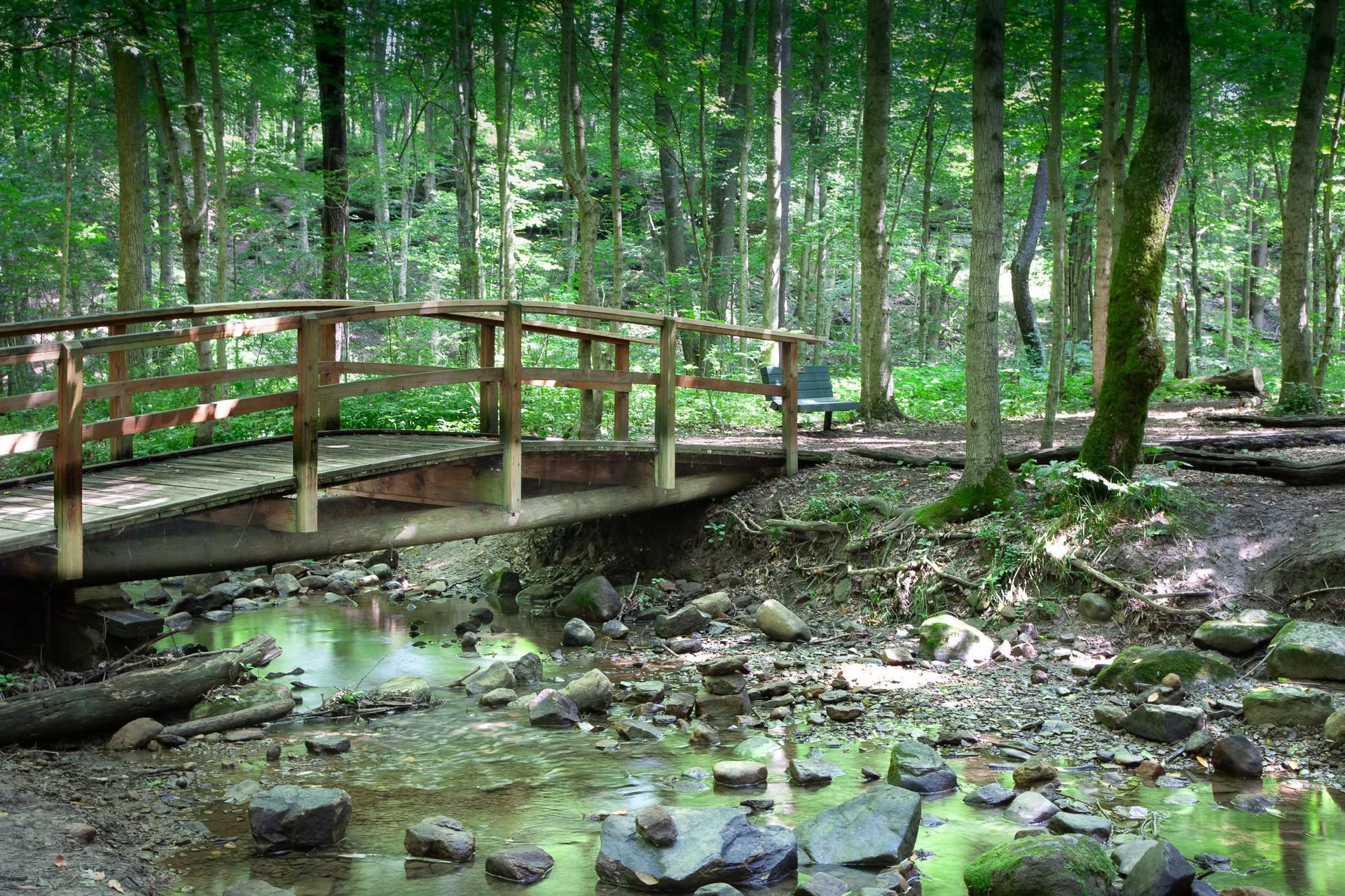 Wooden footbridge over a shallow stream in a green forest