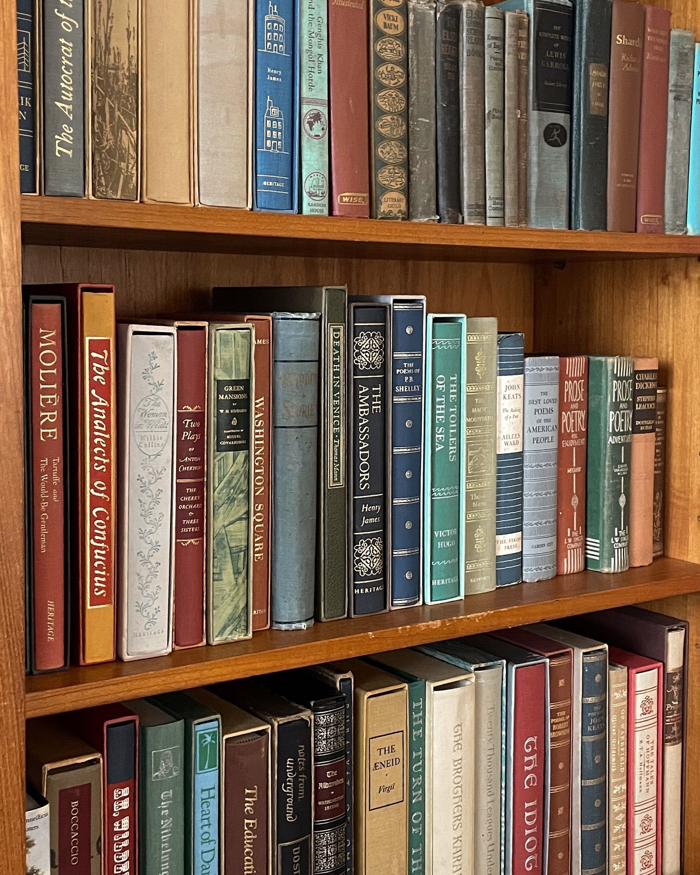 Bookshelves filled with various hardcover books, wooden shelves, a warm color palette.