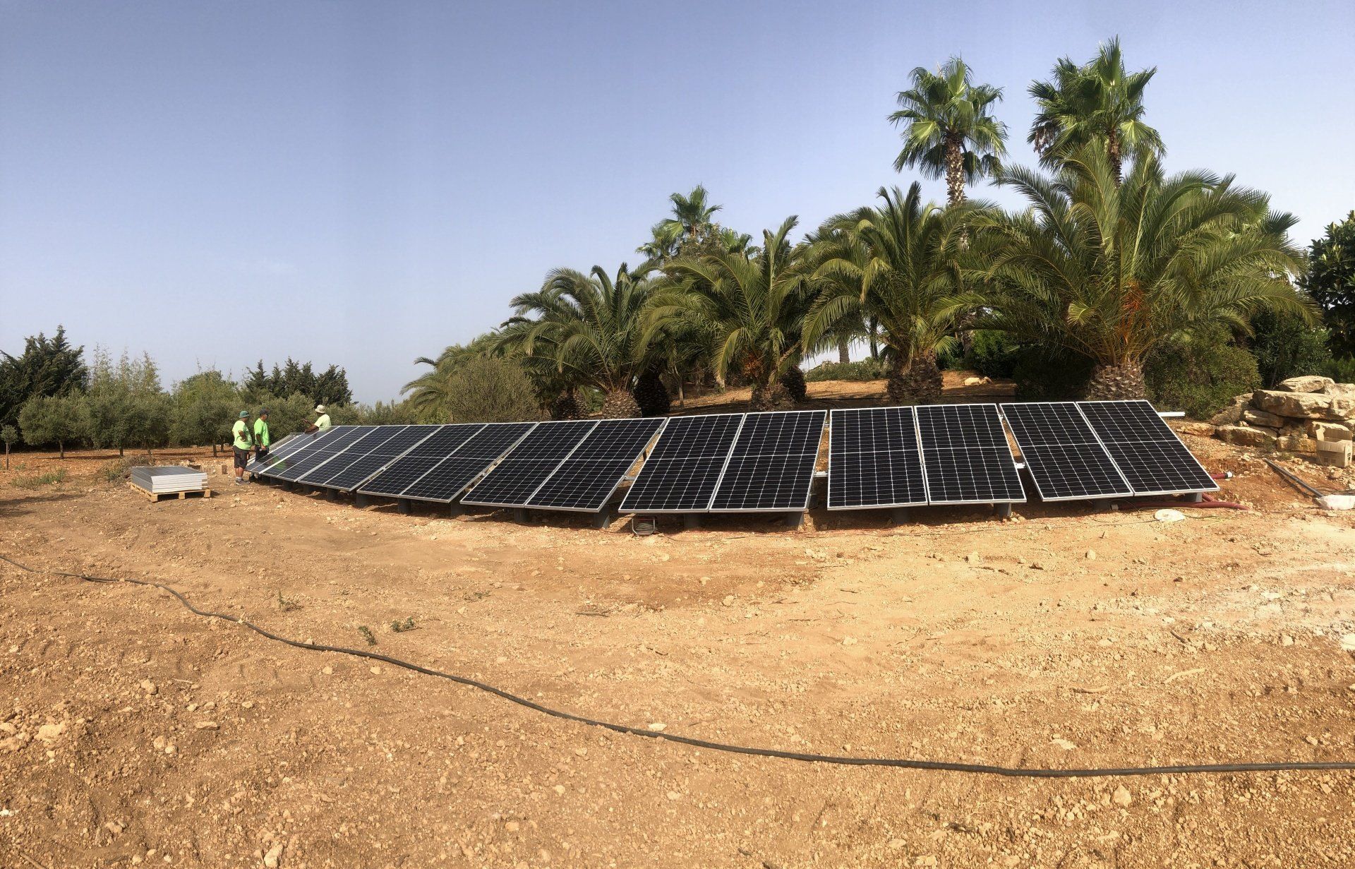 Paneles solares instalados en un terreno marrón y árido con palmeras al fondo.