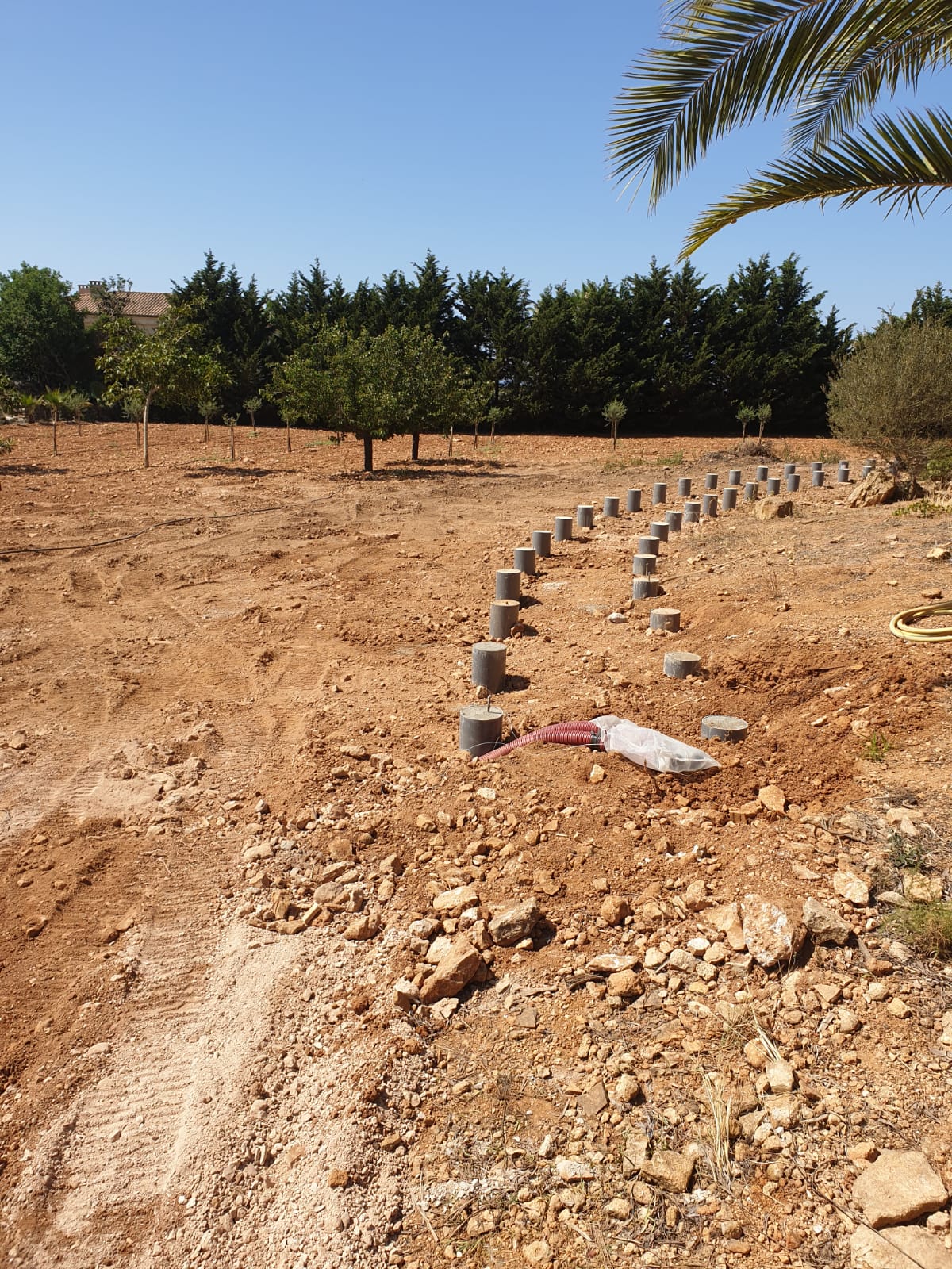 Filas de postes de hormigón en tierra, posiblemente bases para una pasarela o estructura, en un entorno al aire libre con árboles.