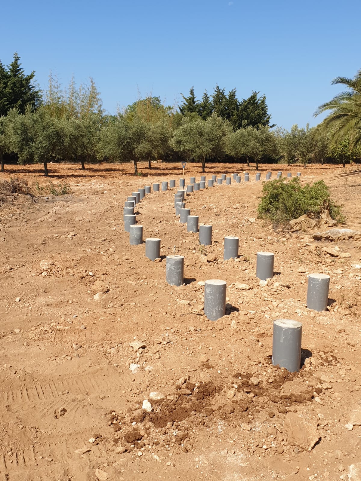 Filas de postes de hormigón gris colocados en un campo de tierra bajo un cielo azul, posiblemente para construcción o paisajismo.