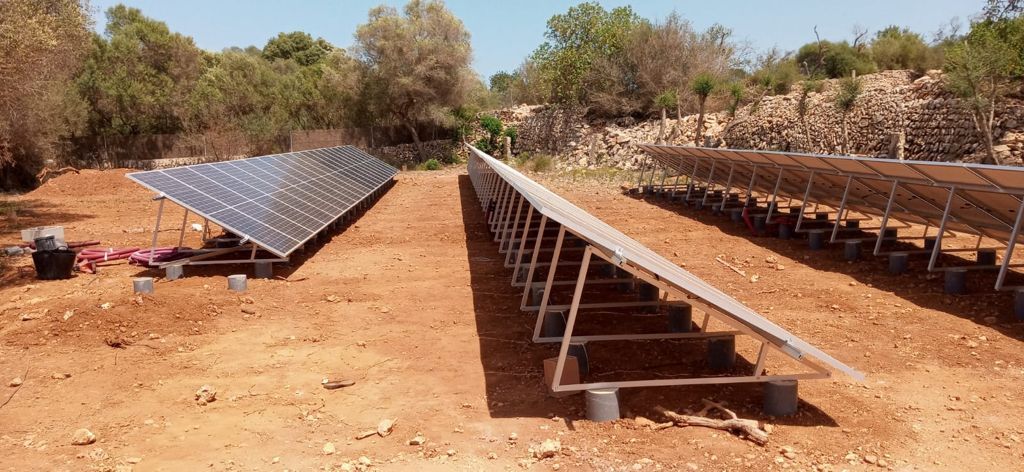 Paneles solares en un campo, orientados hacia el sol, en un entorno rural.