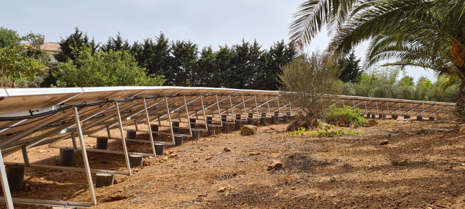 Instalación de paneles solares en un campo con árboles circundantes.