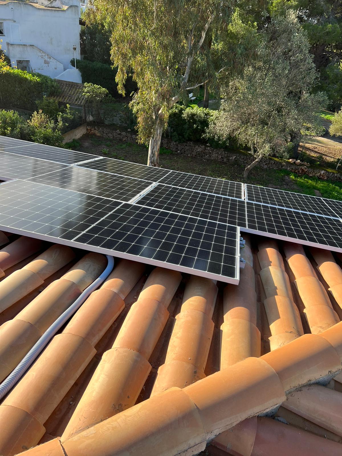 Paneles solares instalados sobre un techo de tejas de terracota, con un árbol y vegetación al fondo.