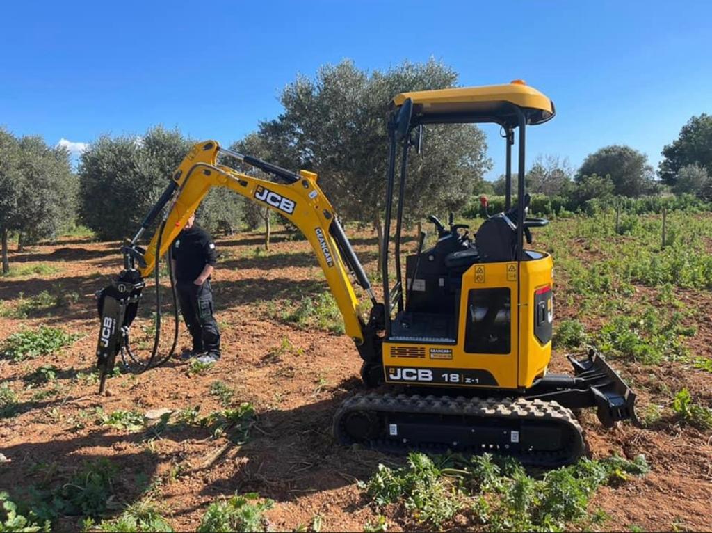 Miniexcavadora JCB amarilla con una persona trabajando en un campo con olivos.