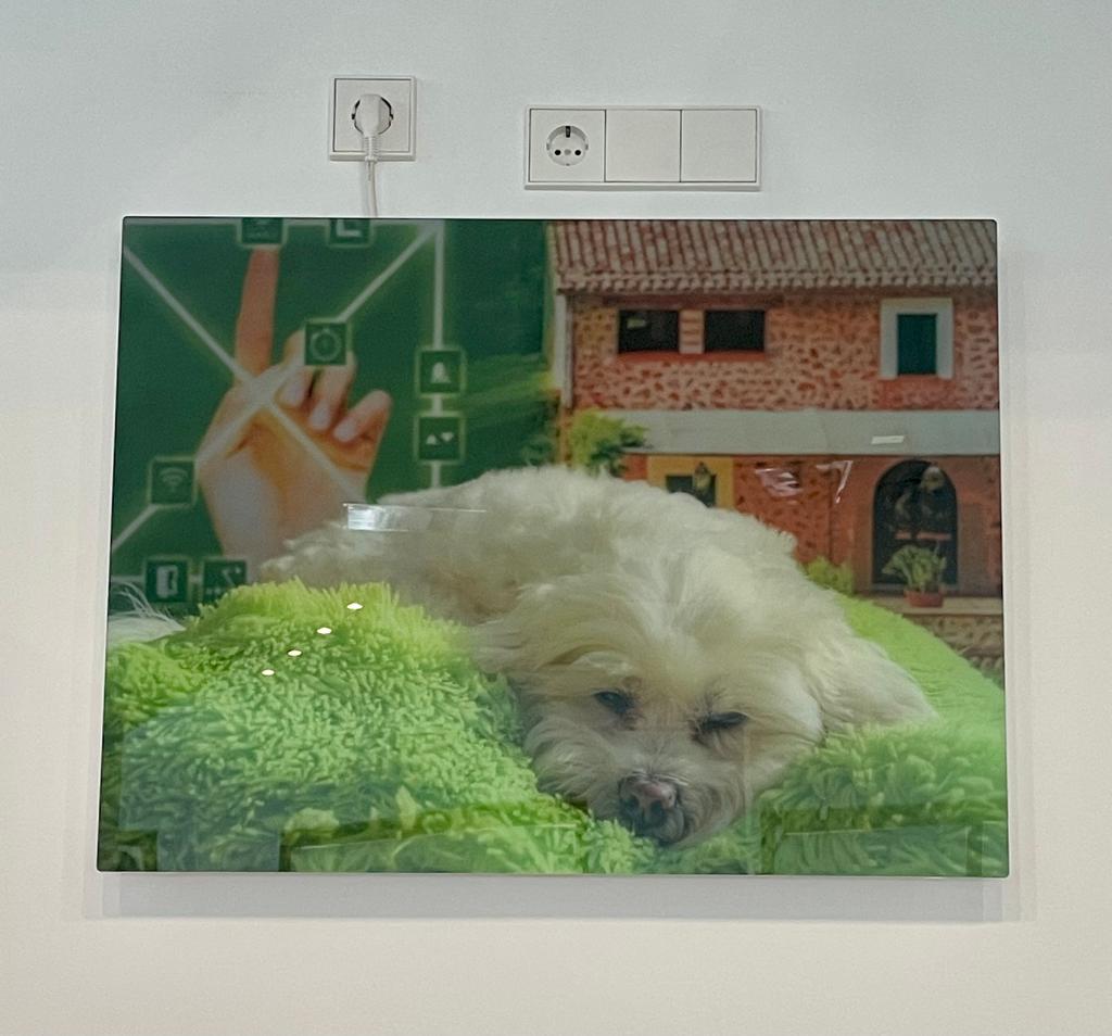 White dog resting on green blanket, overlaid with digital graphics, a hand, and a building.