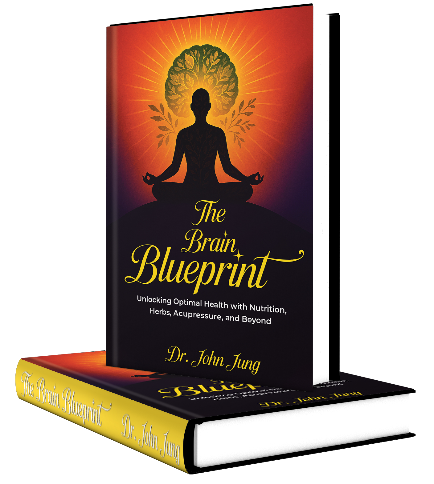 Book cover: