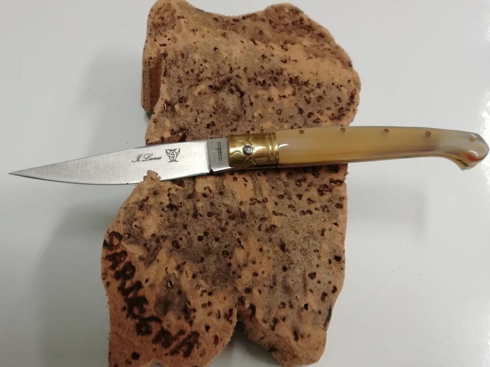 pattadesa