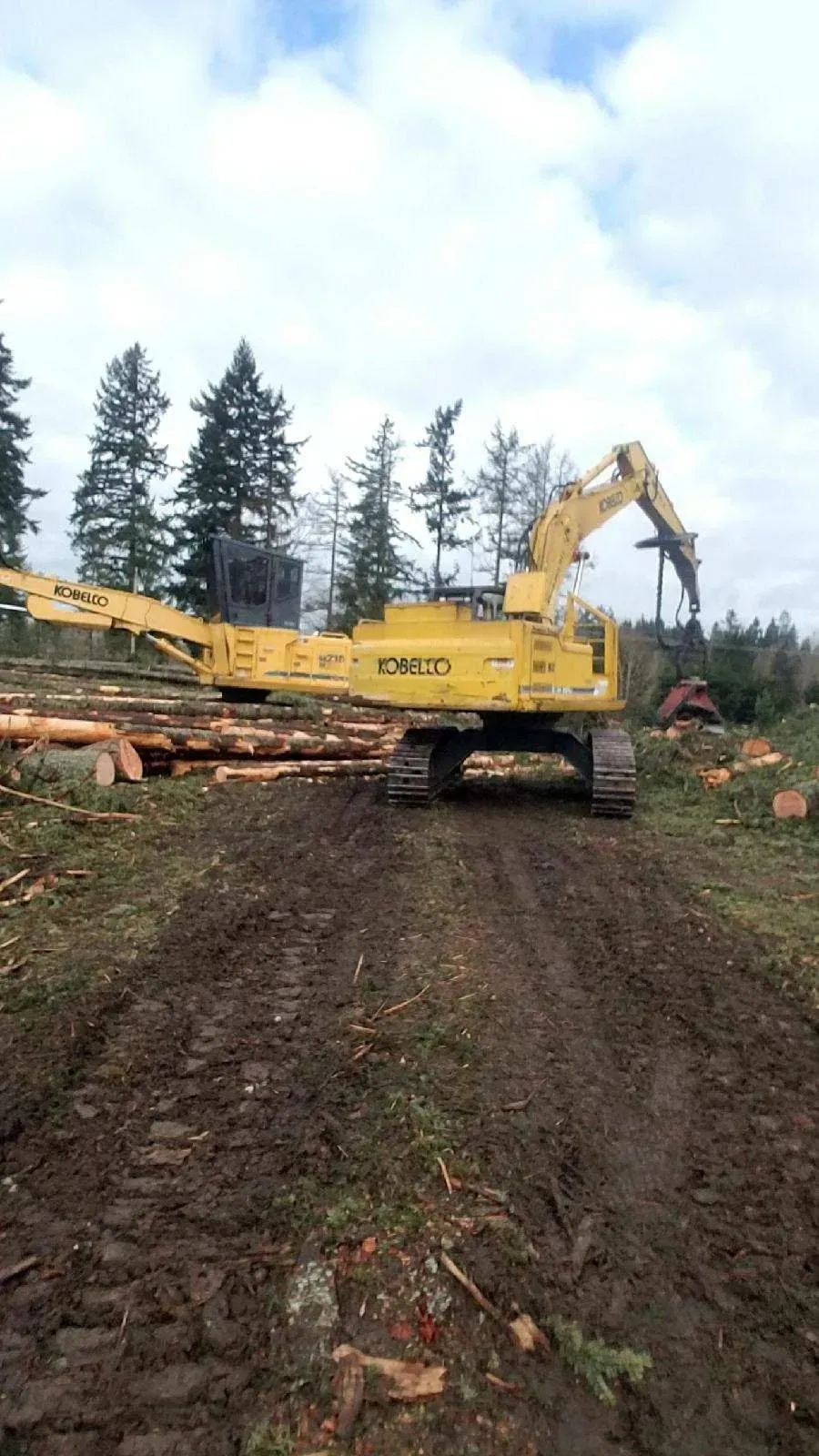 land clearing