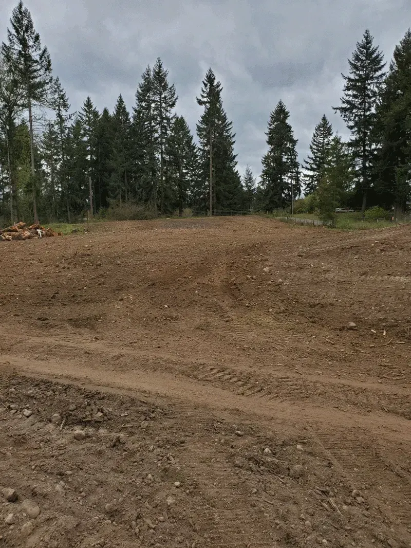 Cleared, brown earth in a hilly area with tall trees under a cloudy sky.
