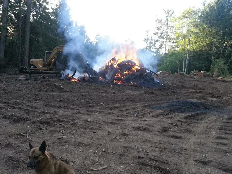 land clearing brn