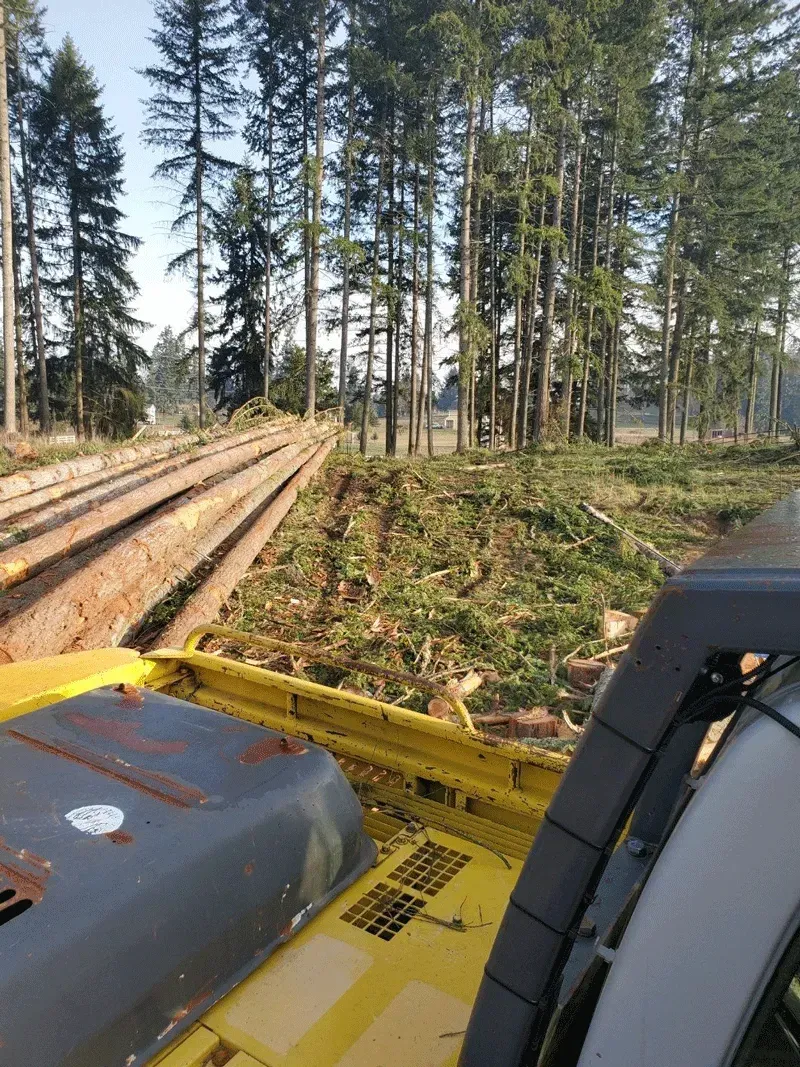 land clearing
