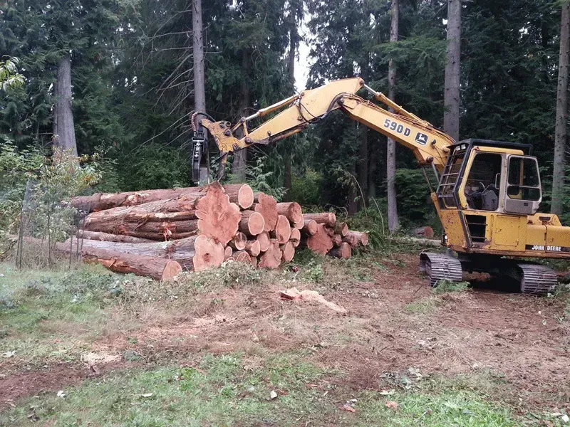 logging