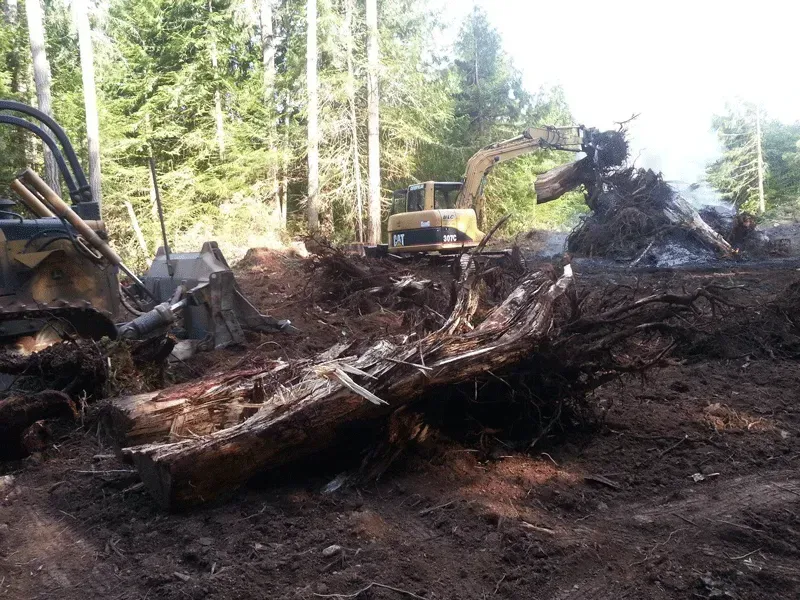 land clearing