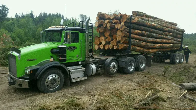 Green logging truck hauling a load of logs on a dirt road, trees in the background.
