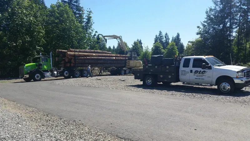 Green semi-truck loaded with logs, a flatbed truck, and an excavator in a wooded area.