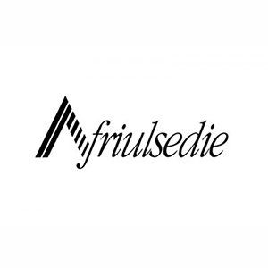Logo per Friulsedie, caratterizzato da una forma astratta e da una scrittura elegante.