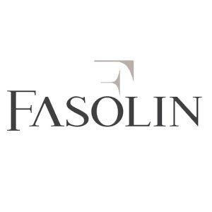 Logo per Fasolin, con testo grigio scuro e un simbolo 'F' stilizzato.
