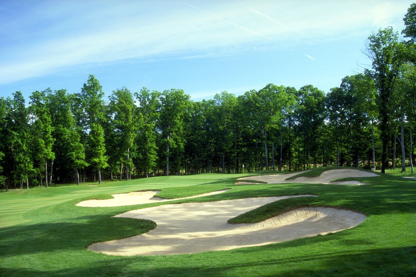 Golf course green with sand traps, surrounded by trees and a blue sky.