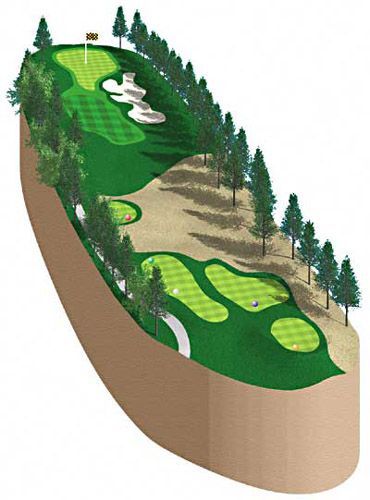Golf course illustration, green fairways and putting greens, sand traps, trees on sloped terrain.
