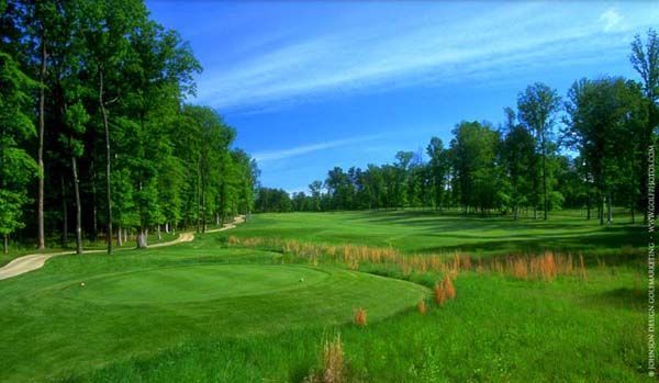 Golf course, green grass, trees, and a blue sky.
