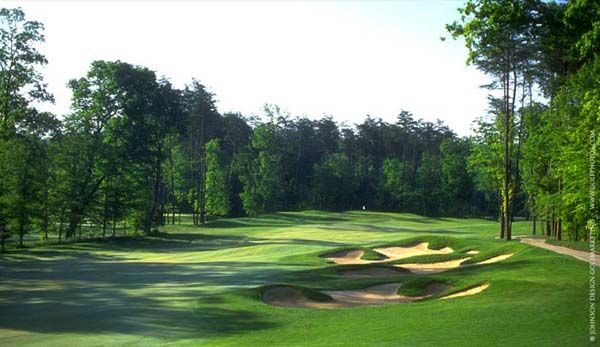 Green golf course with sand traps and trees.