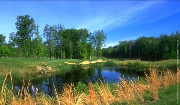 Golf course scene with a pond, tall grass, trees, and a blue sky.
