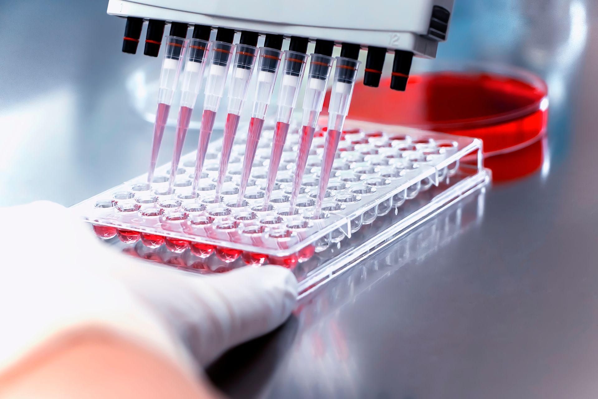 Científico con guantes azules utilizando un microscopio en un laboratorio con matraces y tubos de ensayo.