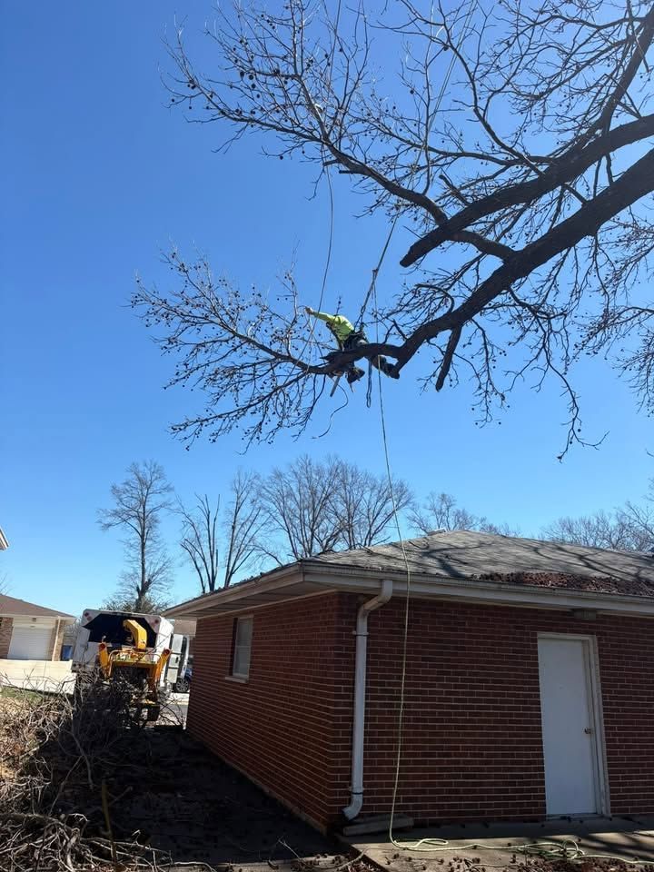Worker in a bucket lift trims tree branches over a red brick garage on a sunny day
