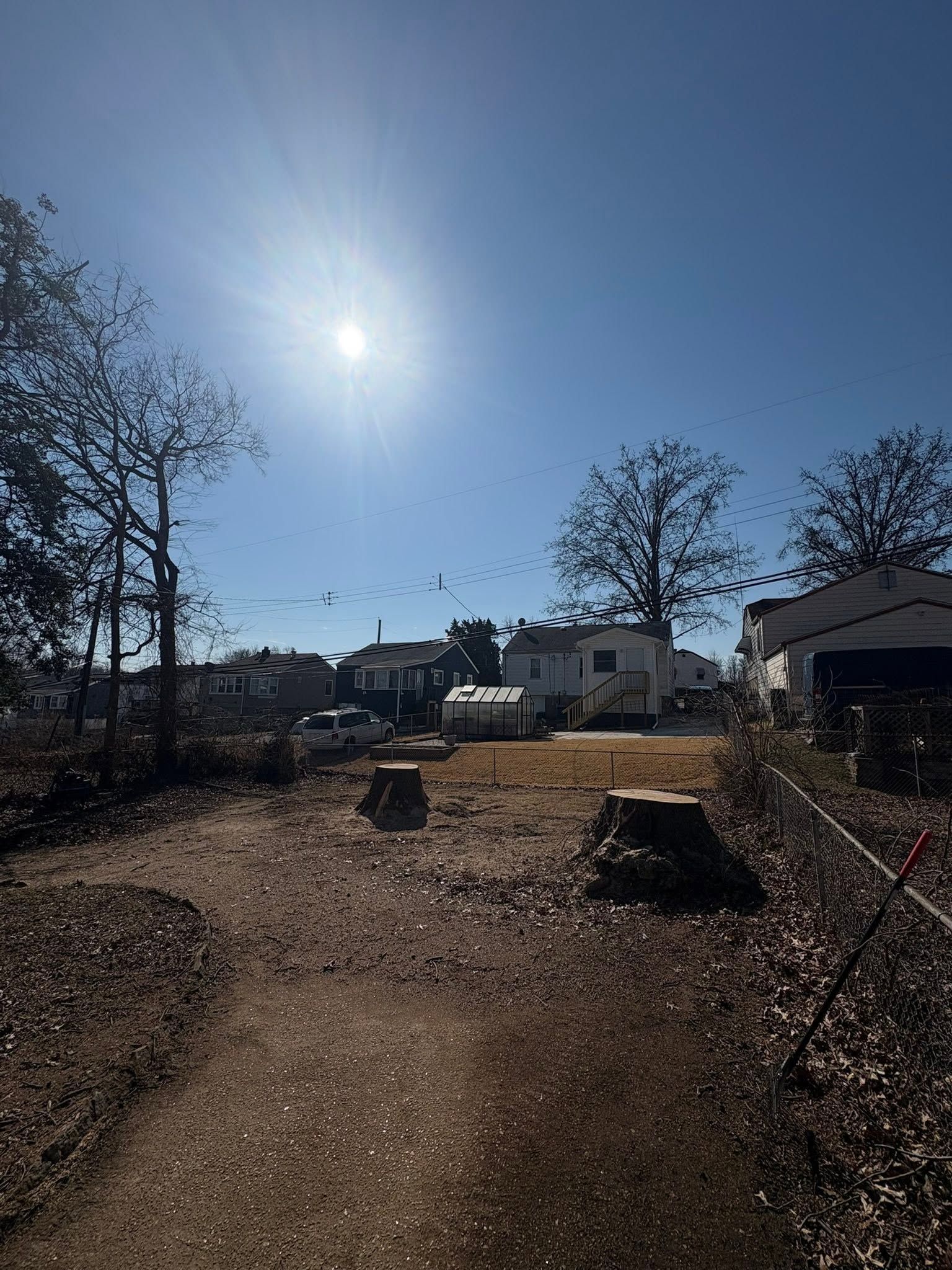 Sunny dirt path leading to houses, with trees and a bright blue sky
