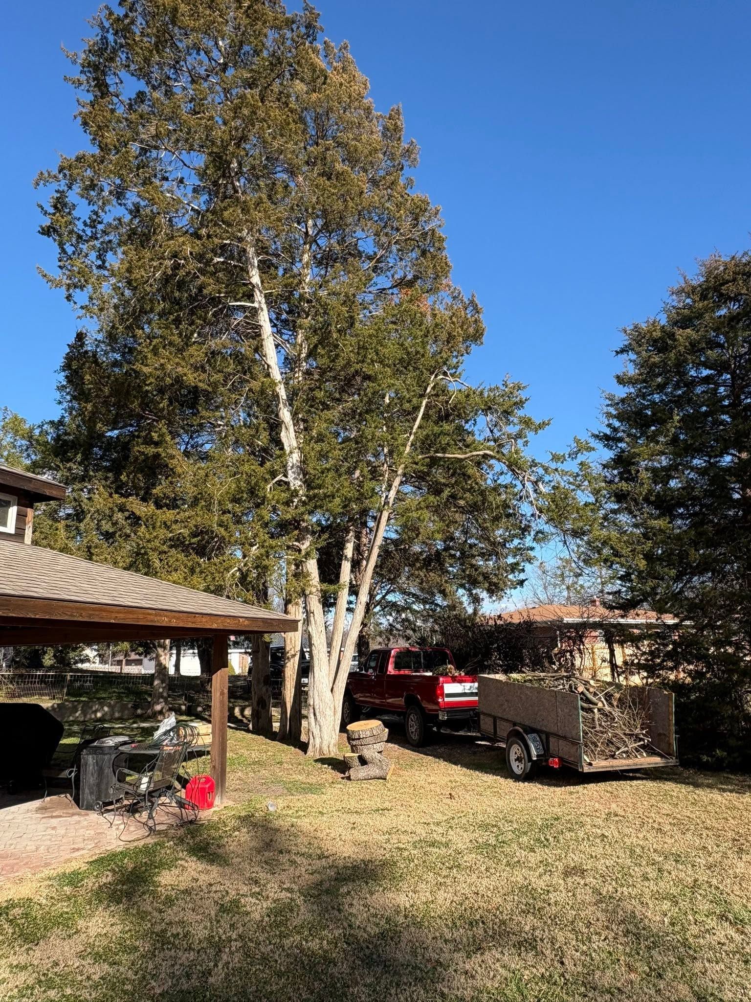 Backyard with tall tree, red truck, and house in bright sunlight