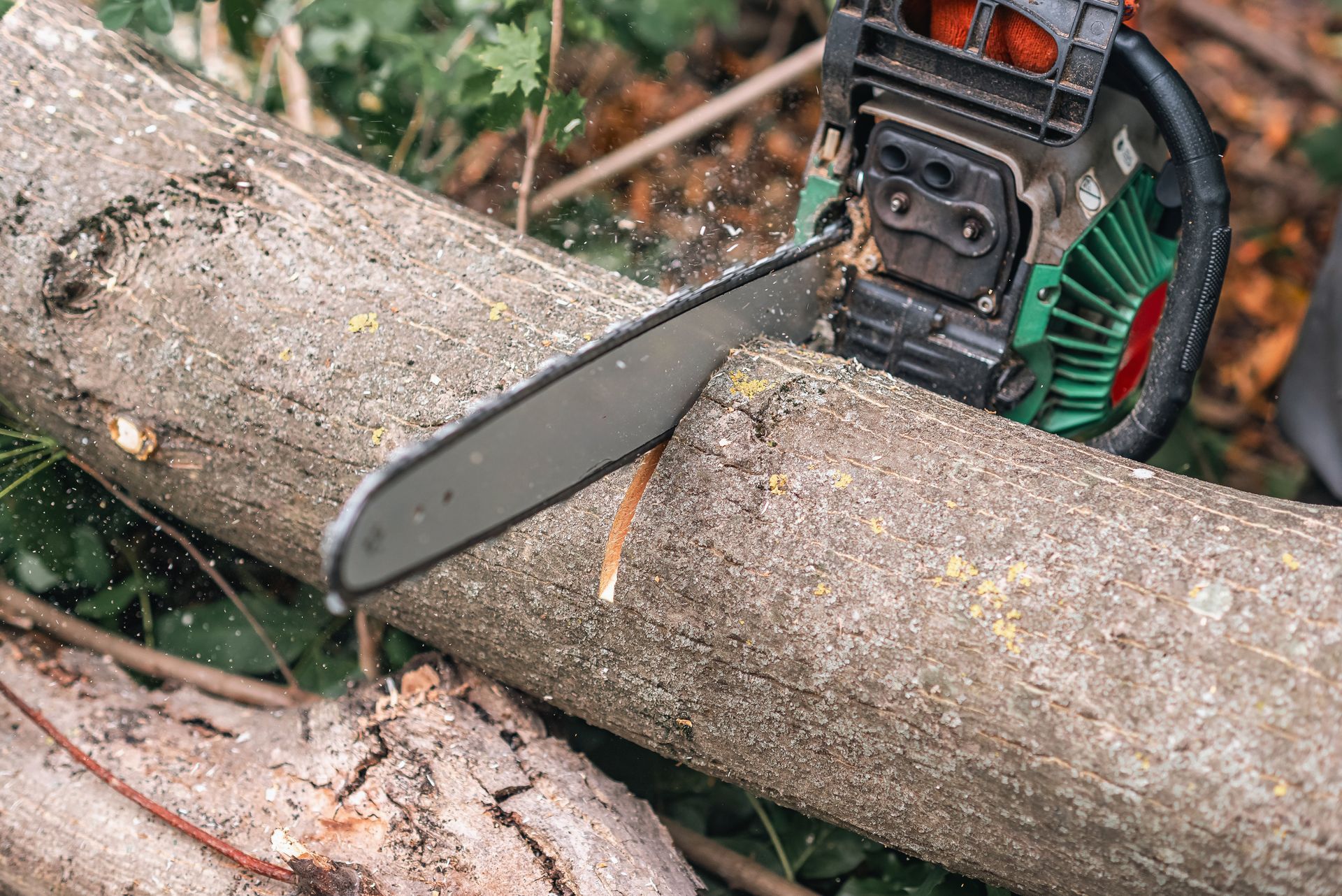 Chainsaw cutting through a fallen tree trunk in a wooded area
